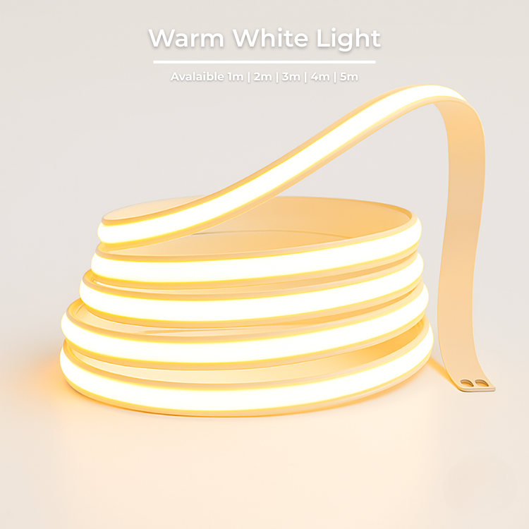 Warm White light or White light