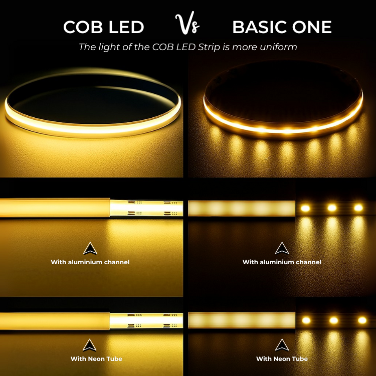 Warm White light or White light