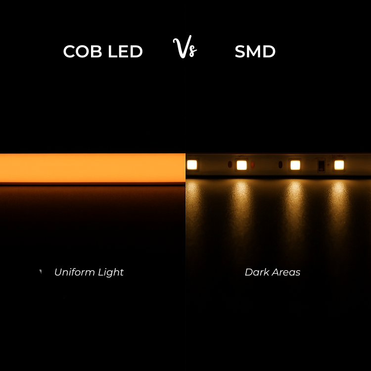Warm White light or White light