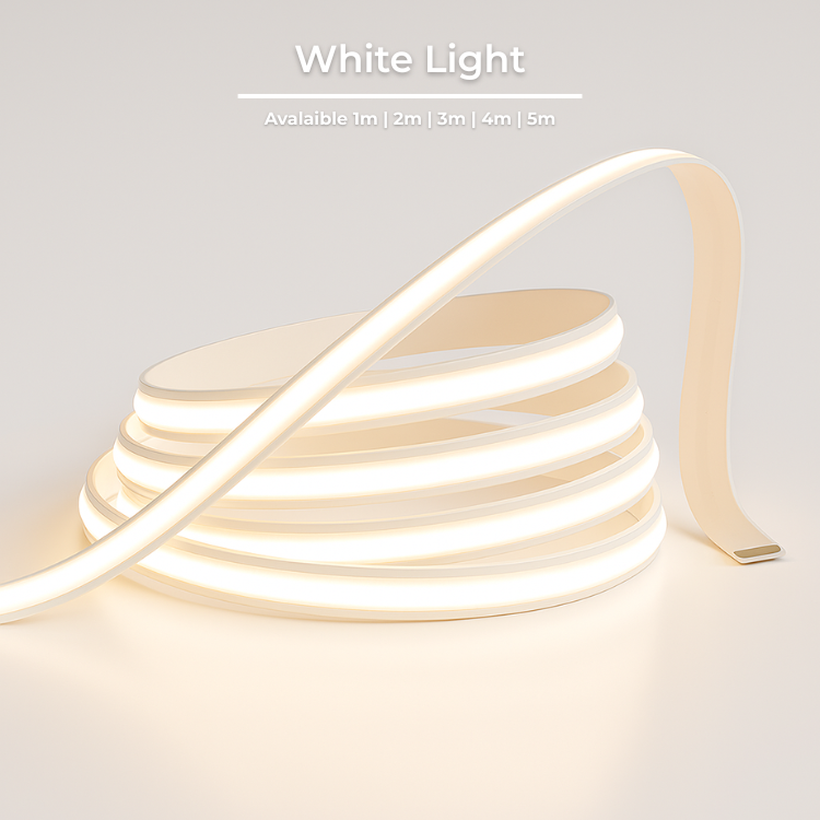 Warm White light or White light